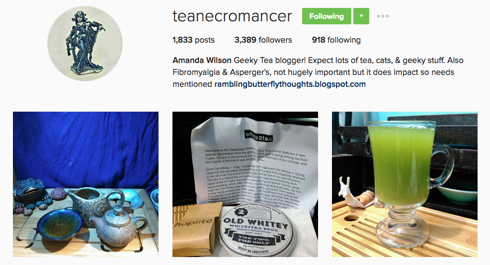 Top Tea Instagram Users | The Cup Of Life