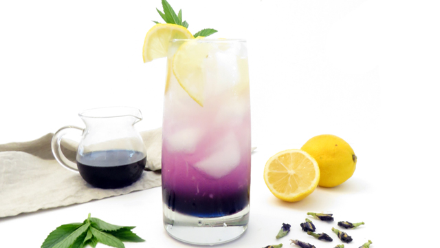 Butterfly Pea Flower Tea Lemonade (herb infused!) - The Cup of Life